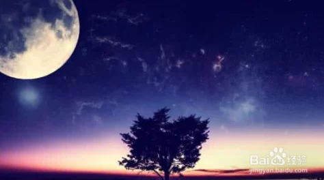 星空无痕mv免费视频观看：探讨音乐视频对情感表达的影响与观众反应分析