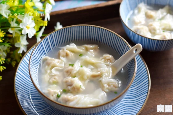 肉上瘾了怎么办肉馅小水饺，教你几招轻松制作美味又健康的水饺，让你告别对肉的依赖！