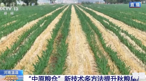 模拟农场25农作物种类大全及新增作物种植指南详解